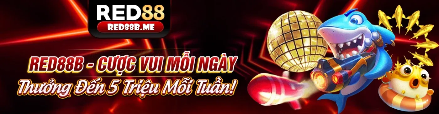 Quy trình thu thập dữ liệu an toàn của km1888