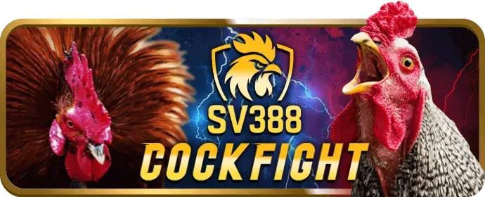 Mẹo Chơi Slot Game Hiệu Quả