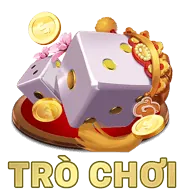 Trận đấu bóng chuyền